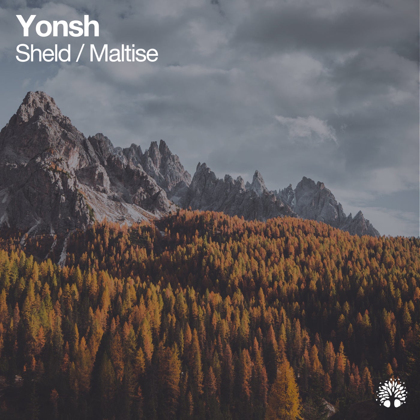 Yonsh - Sheld - Maltise [ETREE429]